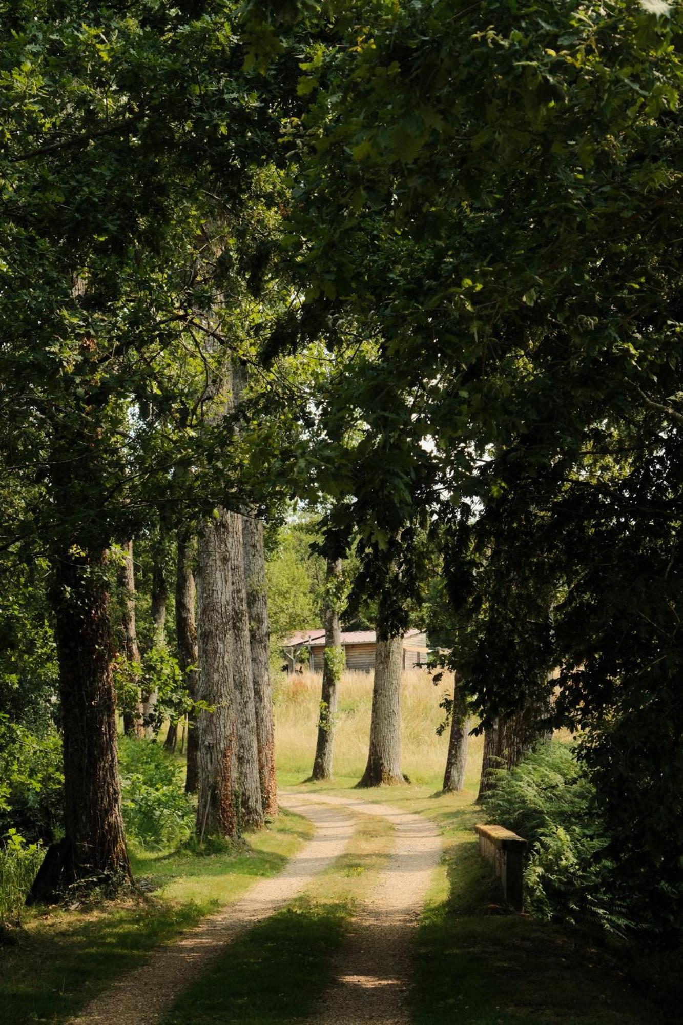 Domaine Des Butineuses Tente de luxe
